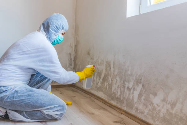 Mold Remediation specialist working in Parsippany